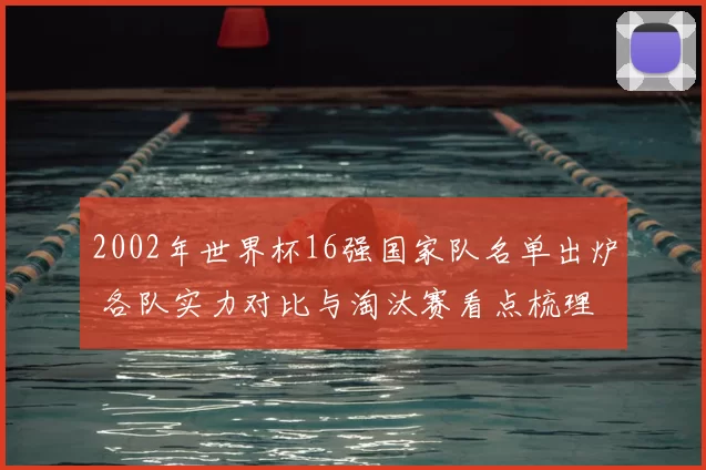 2002年世界杯16强国家队名单出炉 各队实力对比与淘汰赛看点梳理