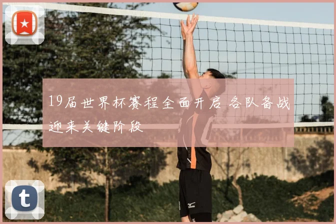 19届世界杯赛程全面开启 各队备战迎来关键阶段